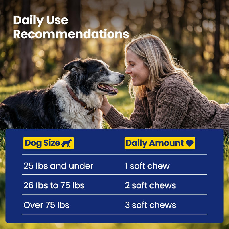 NAD+ Precursor & Senior Dog Supplement - 90 Soft Chews - NMN Alternative for Longevity & Healthy Aging - Nicotinamide Riboside, Resveratrol, Quercetin - Filet Mignon Steak Flavor Filet Mignon Steak & Beef
