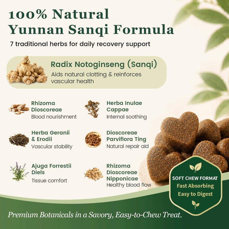 Herbal Yunnan Sanqi Soft Chews for Dogs, Stop Bleeding & Blood Builder for Hemangiosarcoma, Hemoabdomen, Cancer Bleeding, Kidney - Safe Daily Support for Long - Term Care, Boosts Vitality&Energy-150ct