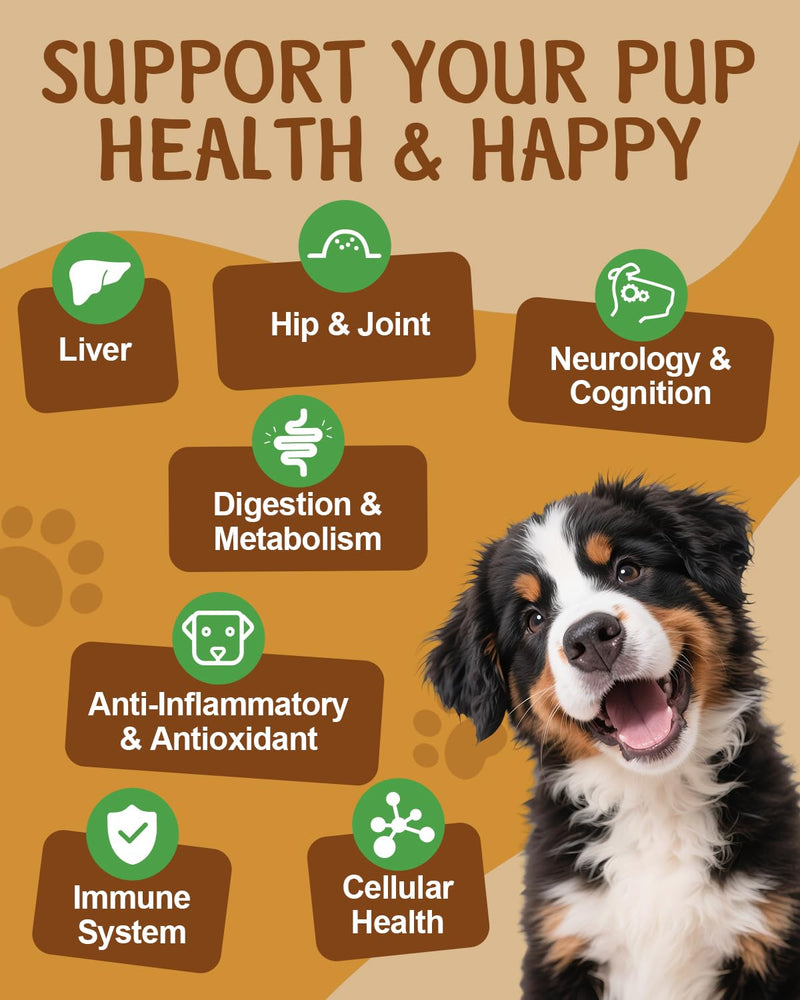 Mushroom for Dogs, 9 Organic Mushroom Supplement with Turkey Tail, Reishi, Lions Mane & Lysine for Cats - Support Immune System, Respiratory, Eye Health