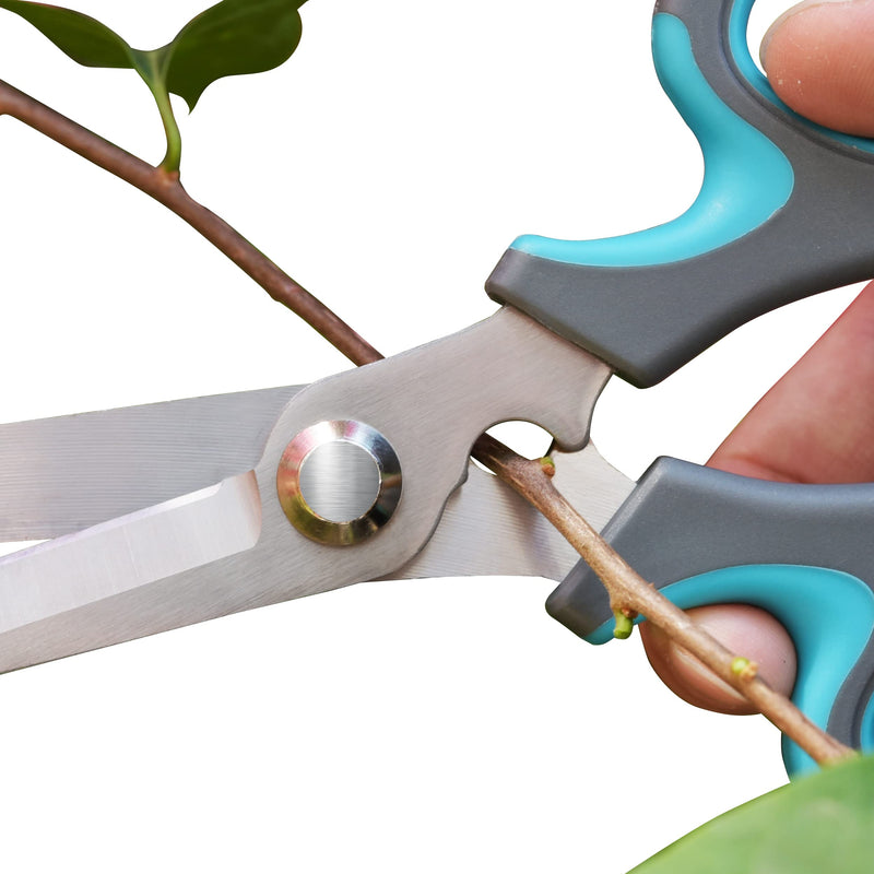 CYRUS Garden Shears Pruner Secateurs Pruning Scissors Flower Sharp Gardening hand tools Florist Bonsai Cutters Rose Snips BLUE