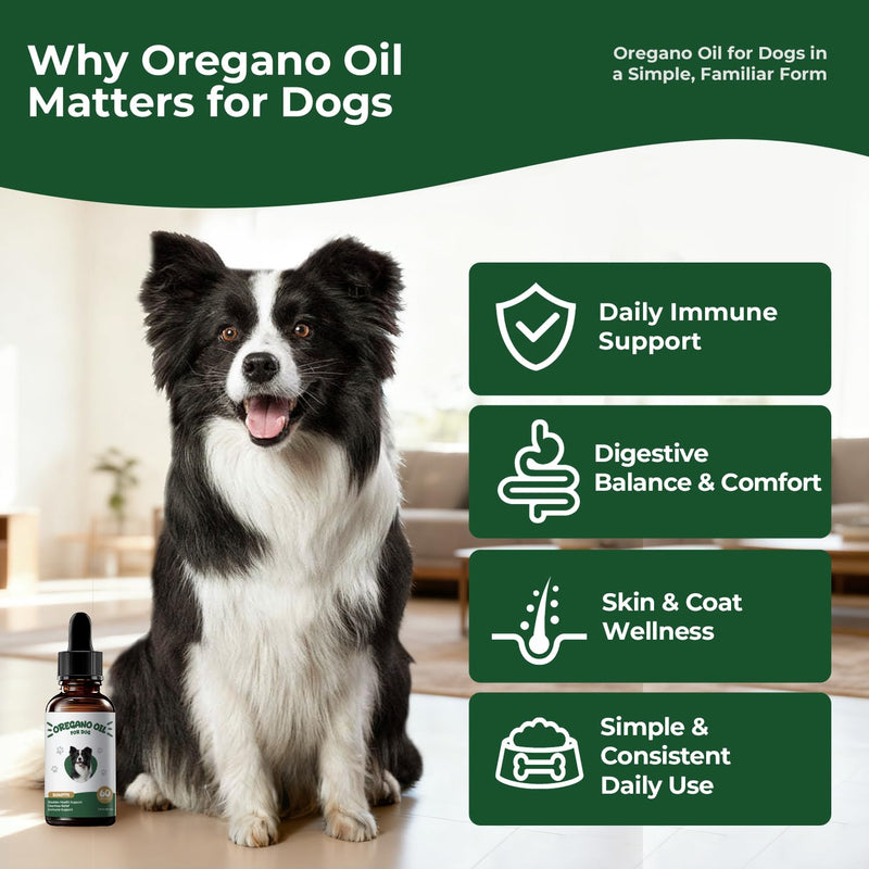 Oregano Oil for Dogs Drops, Organic Oil of Oregano in Extra Virgin Olive Oil, Mediterranean Wild Oregano, Immune and Digestive Support, Easy-to-Use Dropper, 2 fl oz