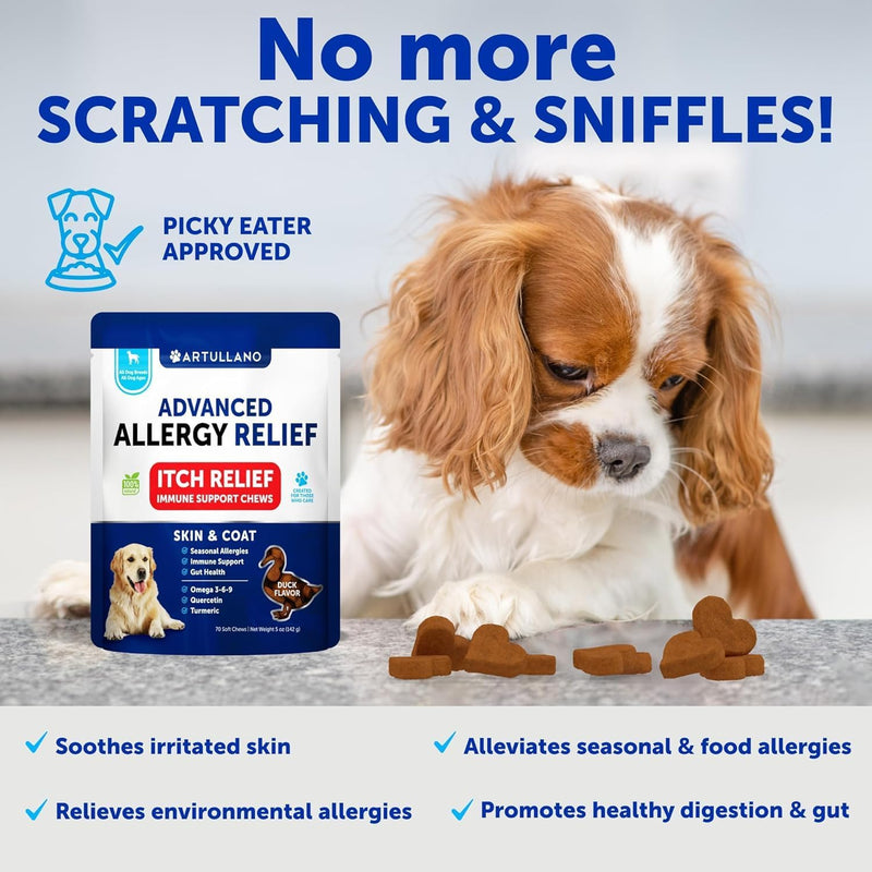 Dog Allergy Relief Chews - Itching Skin Relief for Dogs - Fish Oil - Omega 3 - Seasonal Allergies Pills - Skin & Coat, Anti Itch, Hot Spots Treatment - Canine Immune Health Supplement - 70 Soft Treats 70 Treats