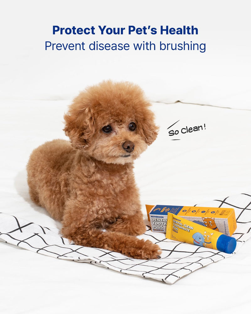PETHROOM Dog & Cat Dental Kit for Daily Care – Enzymatic Toothpaste & Soft Bristle Toothbrush (Medium), Plaque & Tartar Control, EWG Verified, Fresh Breath, Pet Friendly Flavor, 2.1 oz