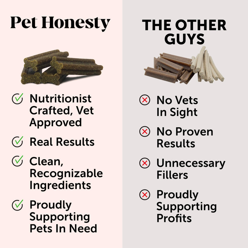 Pet Honesty Dental Health Fresh Sticks - Oral Hygiene Dental Sticks for Dogs - Dental Dog Chews - Freshen Dog Breath, Reduce Plaque + Tartar - 16 Sticks Dental Sticks Mint 15 Ounce (Pack of 1) - PawsPlanet Australia