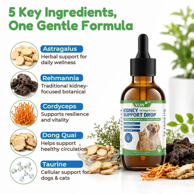 VUN Kidney Support Supplement for Dogs & Cats,Liquid Herbal Kidney&UTI Support for Kidney Urinary and Bladder Function, Fluid Balance & Energy, Easy Drops for Senior & Sensitive Pets, 60ml