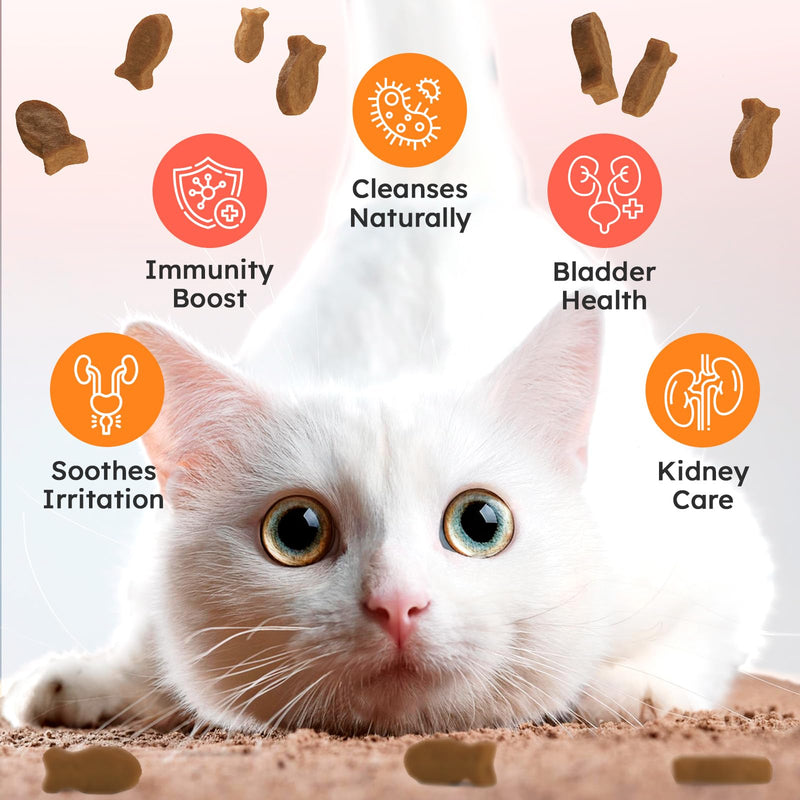 Bladder Chews for Cats UTI - Cat Urinary Tract Support with Cranberry & D-Mannose - Soft Bites for Feline Bladder & Kidney Health Prevention, Salmon - 200 Count