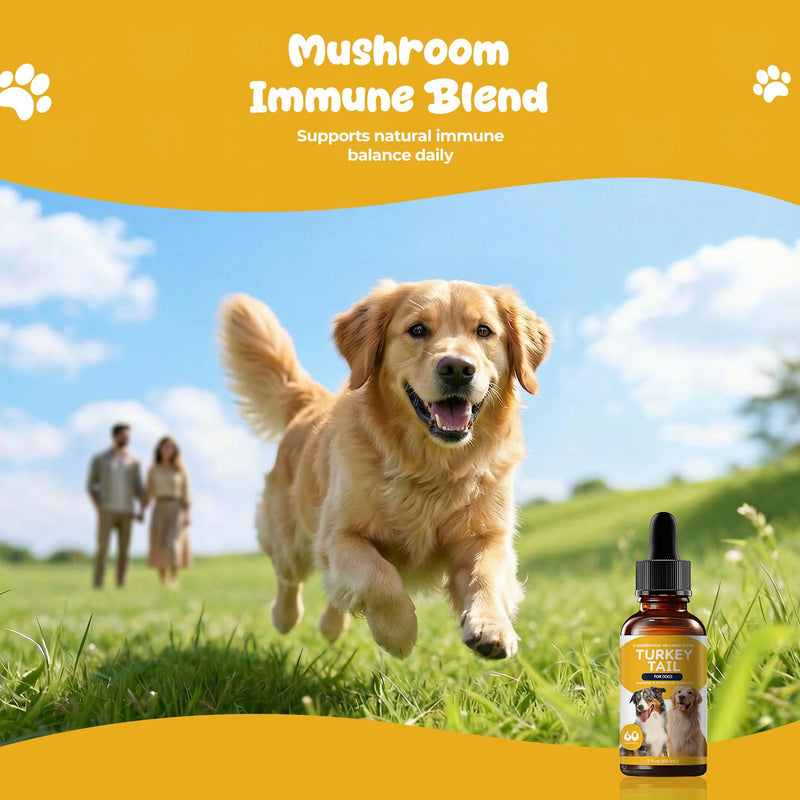Turkey Tail Mushroom for Dogs - Lipoma Treatment for Dogs & Lumps and Bumps Support - Dog Immune Defense & Digestive Support Liquid Drops - Mushroom Dog Supplements with Probiotic Blend, 60 ml