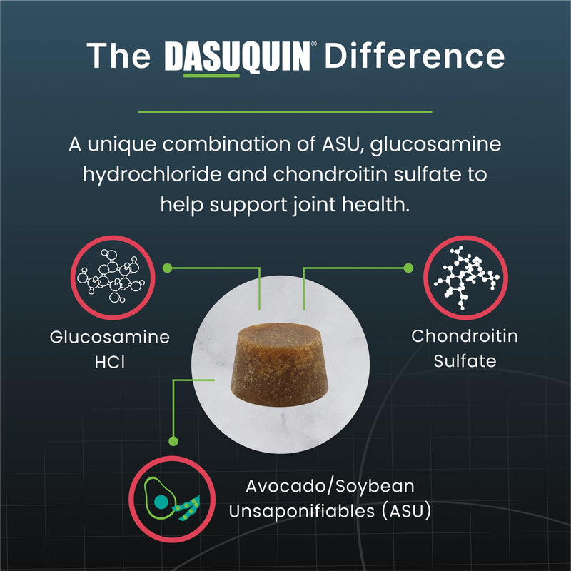 Nutramax Dasuquin Joint Health Supplement for Small to Medium Senior Dogs – for Immune Support, Skin & Coat Health, and Brain Health, 84 Soft Chews - PawsPlanet Australia