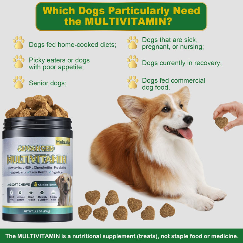 Advanced 24-in-1 Multivitamin Chews for Dogs - 200 Soft Chewable All-in-One Vitamin Support Supplement for Dog Skin Coat Itch Relief, Joints, Gut Health, 12 Essential Vitamins Treats with Omega-3 Golden