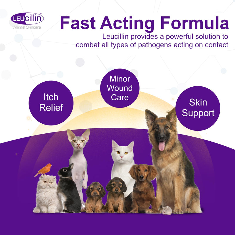 Leucillin Natural Antiseptic Spray - Antibacterial Antifungal Antiviral for Dogs Cats All Animals Itchy Skin Minor Wound Care and Skin Health | 500ml 500 ml (Pack of 1) - PawsPlanet Australia