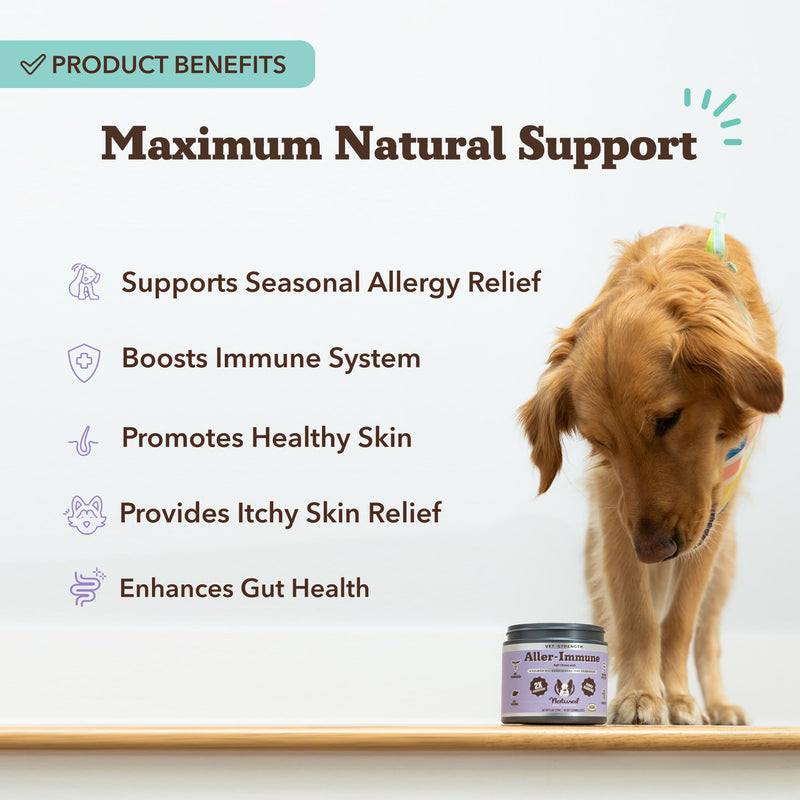 Natural Dog Company Bundle: Allergy & Itch Defense Chews (90 ct) + Skin Soother Balm (2 oz) – Vet-Strength Support with Colostrum, Salmon Oil & Probiotics + Healing Balm for Itchy, Dry, Irritat