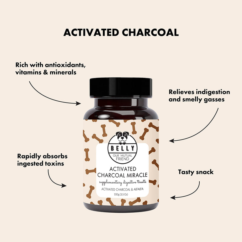 Belly Natural Charcoal Tablets Dog - 100g - Activated Charcoal Tablets against diarrhea & to build up intestinal bacteria, build up dog intestinal flora, with antioxidants, vitamins and minerals, vegan - PawsPlanet Australia