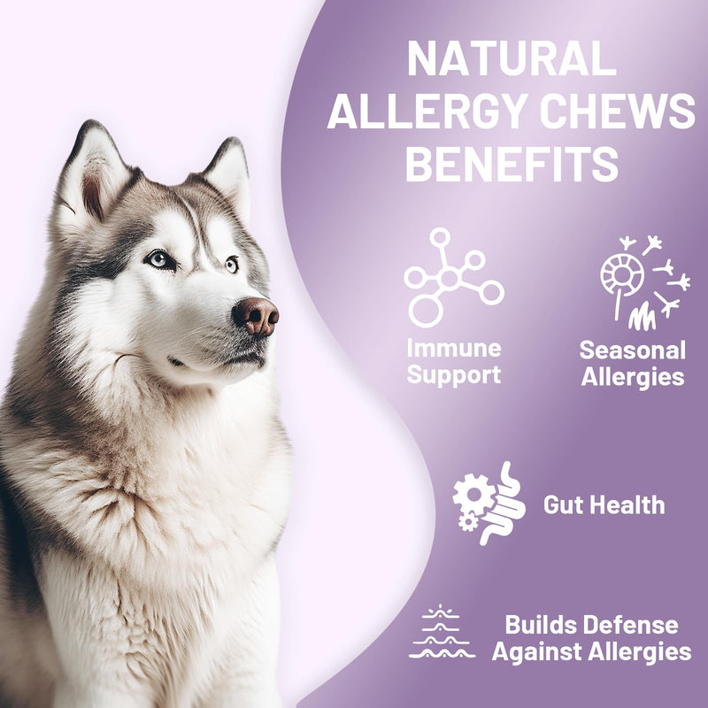 Noble Beast Dog Immune & Allergy Supplement - Itch Relief - Probiotics for Dogs - Skin & Seasonal Allergies - All Natural - Soft Chews with Hemp and Colostrum - Chicken Flavor - 120 Count - PawsPlanet Australia