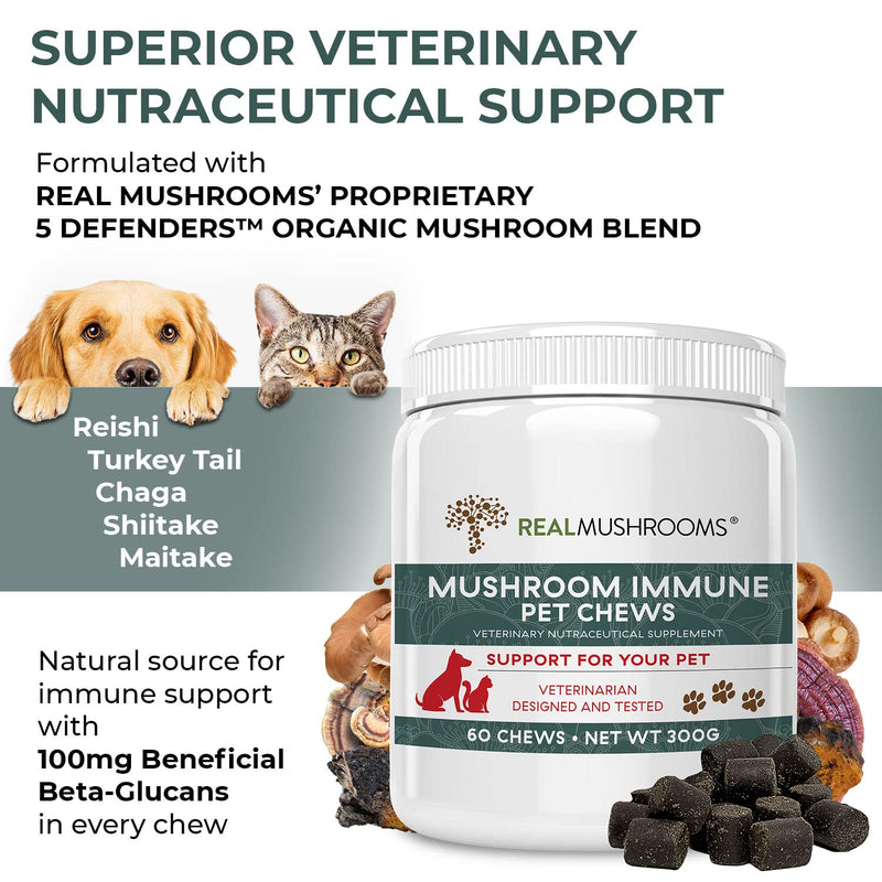 Real Mushrooms Immune Pet Chews (60ct) & Relax Pet Chews (60ct) - Bundle for Immunity, Relaxation & Longevity - Reishi, Lion’s Mane, Ashwagandha, Astragalus & More - Vegan, Non-GMO, Gluten-Free - PawsPlanet Australia