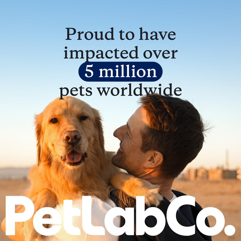 PetLab Co. – Gut & Digest Daily Duo: Pumpkin Powder Blend for Easy Digestion & Firm Stools for Small/Medium/Large Dogs & Salmon‑Flavoured Probiotic Chews to Support Gut & Immune Balance – Easy to Use