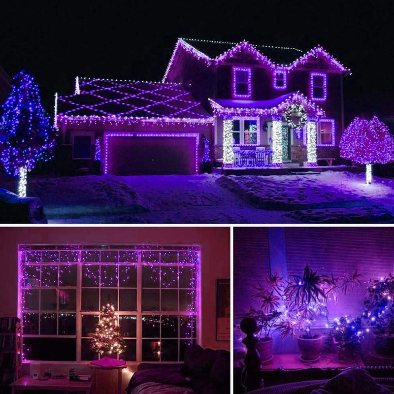 HOME LIGHTING 66ft Halloween Decorative Mini Lights, 200 LED Green Wire Fairy Starry String Lights Plug in, 8 Lighting Modes, for Indoor Outdoor Xmas Tree Wedding Party Decoration (Purple) Purple