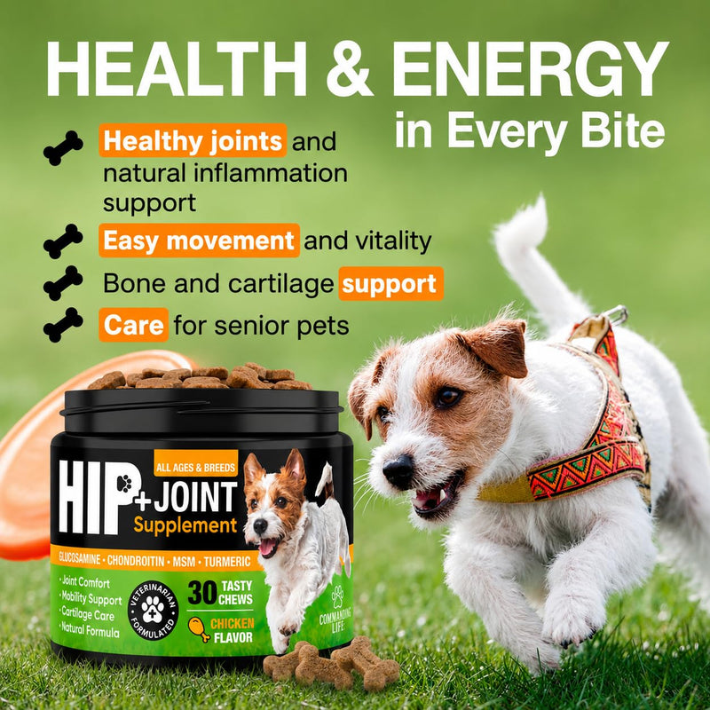 Glucosamine for Dogs – Hip and Joint Supplement Chews for Small, Medium & Large Dogs – Joint Pain & Mobility Support – Soft Chews for Pain and Inflammation Relief, 30 Chews