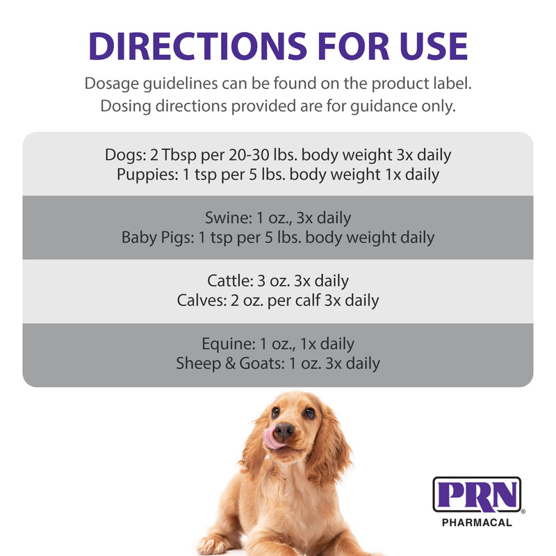 PRN Pharmacal STAT - High Calorie Nutritional Supplement to Help Restore Hydration & Nutrition Levels in Animals - Vanilla Flavored Dietary Support with Vitamin A, D3, C, E, & More - 16 Fl Oz - PawsPlanet Australia