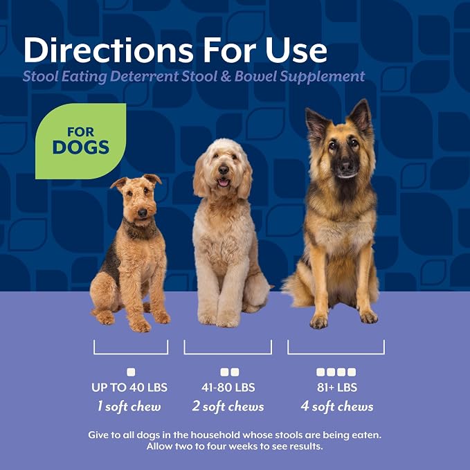NaturVet – Coprophagia Stool Eating Deterrent Plus Breath Aid – Deters Dogs from Consuming Stool – Enhanced with Breath Freshener, Enzymes & Probiotics – 70 Soft Chews