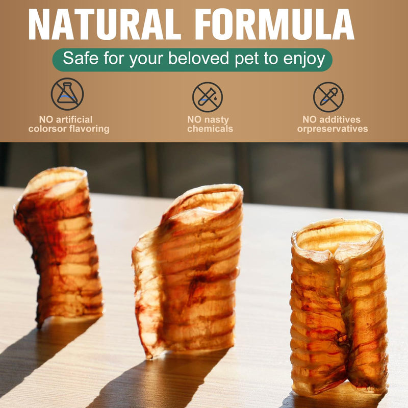 6 Inch Beef Trachea Dog Chews (6pcs - 8oz)-Trachea Dog Treats,Digestible and Safe Chews for Dogs - Natural High Protein for Medium & Large Dogs,Teeth Grinding & Cleaning, Supports Dental Health 0.5 Ounce (Pack of 6)