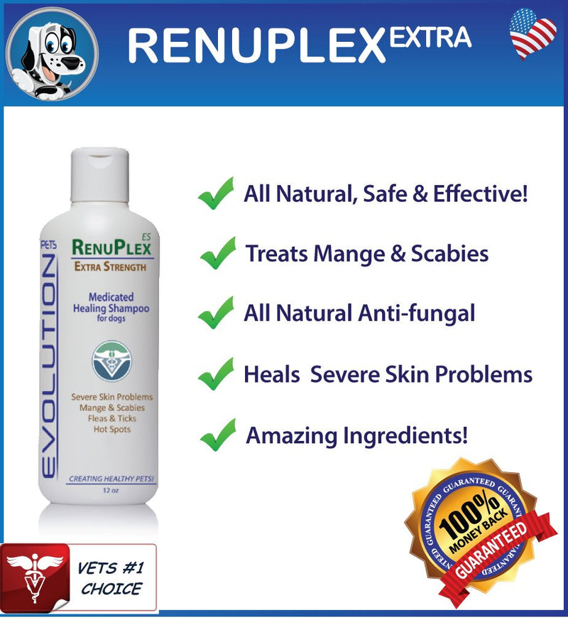 RenuPlex Medicated Dog Mange Shampoo. Extra Strength Mange Shampoo for Dogs Eliminates Mange, Dog Mites, Scabies. All Natural Dog Shampoo. Unconditional Guarantee. Made in USA - PawsPlanet Australia