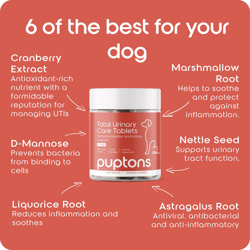 Total Urinary Care | Dog UTI, Incontinence & Cystitis Relief Tablets | Natural Ingredients | Advanced Bladder & Kidney Support for Dogs (60 Tablets) | Puptons 60 Tablets - PawsPlanet Australia