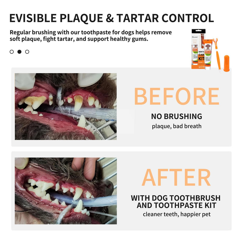 Dog & Cat Toothpaste Kit with Toothbrush & Finger Brush – 100g Vanilla Flavor Pet Toothpaste – Helps Reduce Plaque, Freshen Breath & Support Healthy Gums – Puppy & Adult Pet Dental Care