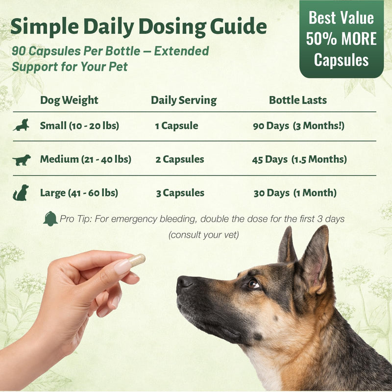 yu nan Capsules for Dogs – Natural Herbal Quick Stop Bleeding & Blood Support for Hemangiosarcoma, Hemoabdomen, Pericardial Effusion, Cancer Bleeding, Ulcers & Bloody Stools– 90 Capsules