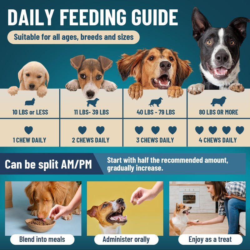 Dog Allergy Relief Chews + Dog Probiotics Chews – Itch & Digestive Support Bundle, 700 Chews Total, Natural Skin & Coat Support with Colostrum, Quercetin & Probiotics for Gut Health, Daily Care for Al