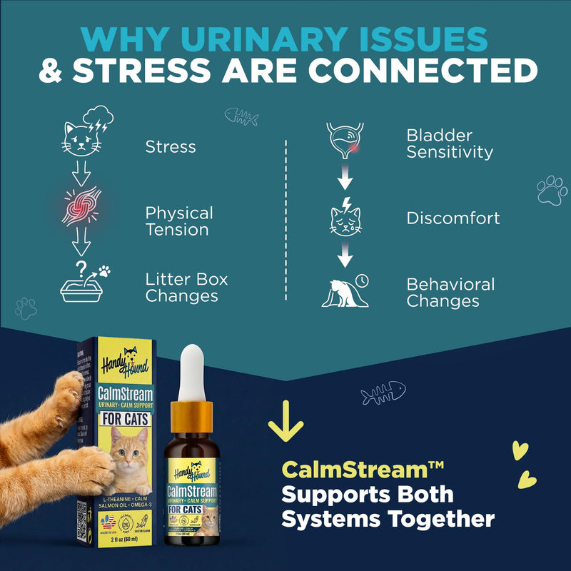 Handy Hound CalmStream Cat Urinary + Calm Support Drops, Liquid Bladder & Urinary Tract Support for Cats, Alcohol-Free, with L-Theanine and Salmon Oil, 2 fl oz (60 mL)
