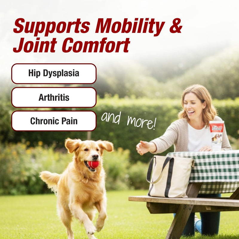 Pet Pain Away All Natural Dog Arthritis Pain Relief Gel, Cat Pain Relief, Dog Pain Relief Anti Inflammatory, Dog Joint Pain Relief, Homeopathic Pain Reliever for Large and Small Dogs and Cats (2-Pack) 2