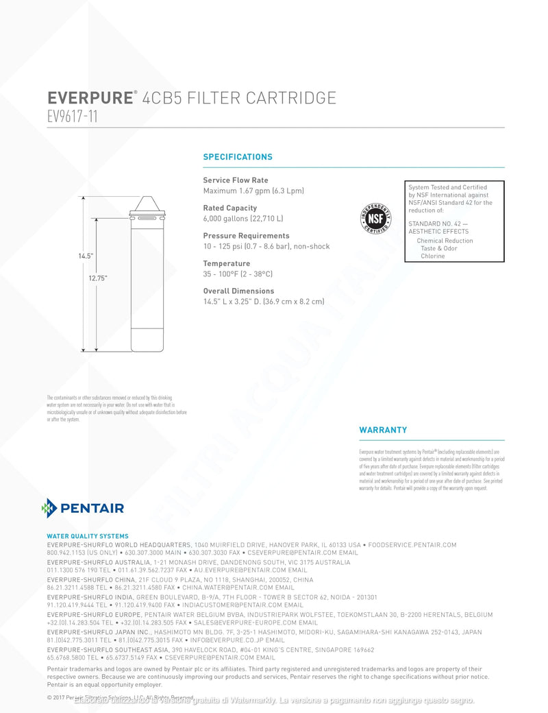 Everpure EV961716 4CB5 Cartridge