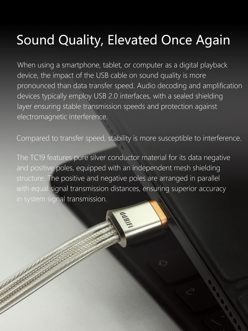 DD ddHiFi TC19CC USB C Cable Digital Signal OTG Cable Pure Silver USB-C to USB-C DAC Cable, Four-Wire Parallel Design, 10cm 10 cm