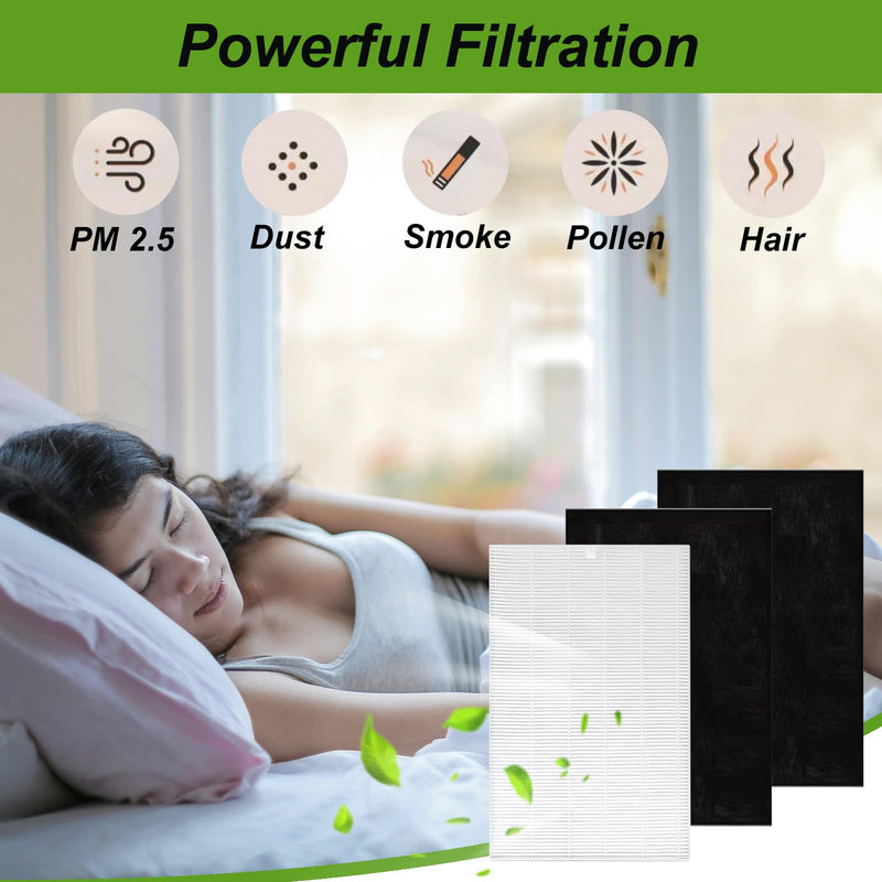 AP-1216-FP Replacement Filter Set