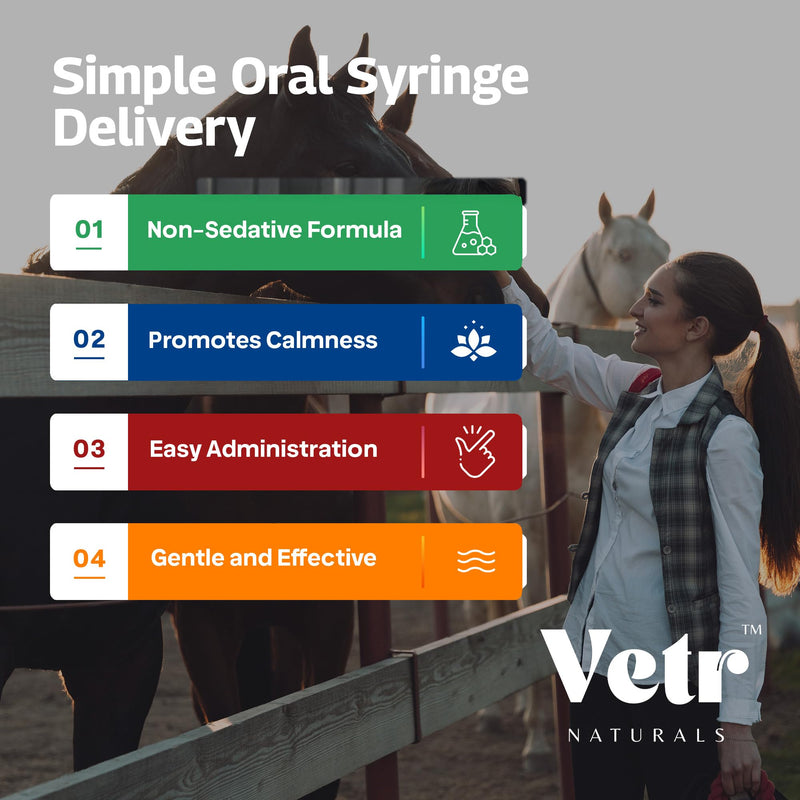 VetrChill Calming Gel for Horses - Apple Flavored Oral Supplement with L-Theanine and Melatonin - Supports Relaxation and Focus - Single Tube - Vet-Formulated in USA