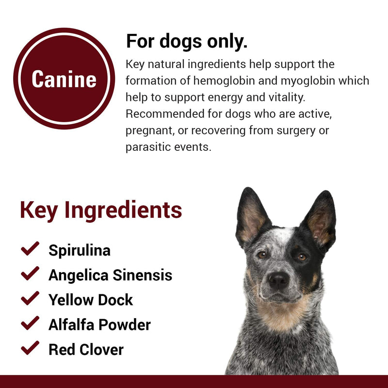 Vet Classics Blood & Energy Support for Dogs, Supports Endurance with Spirulina, Yellow Dock, & Alfalfa Support Formation of Hemoglobin and Myoglobin, 120 Chewable Tablets - PawsPlanet Australia