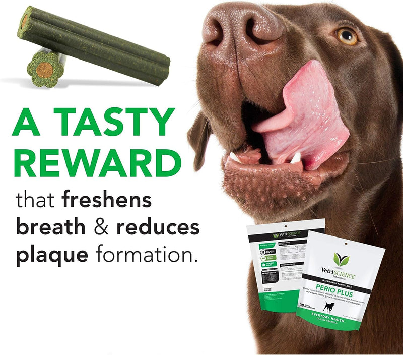 VetriScience Perio Support Teeth Cleaning Dental Powder for Dogs and Cats, Up to 192 Servings & Perio Plus Dental Sticks for Dogs, 30 Sticks Perio Powder & Dental Sticks Bundle