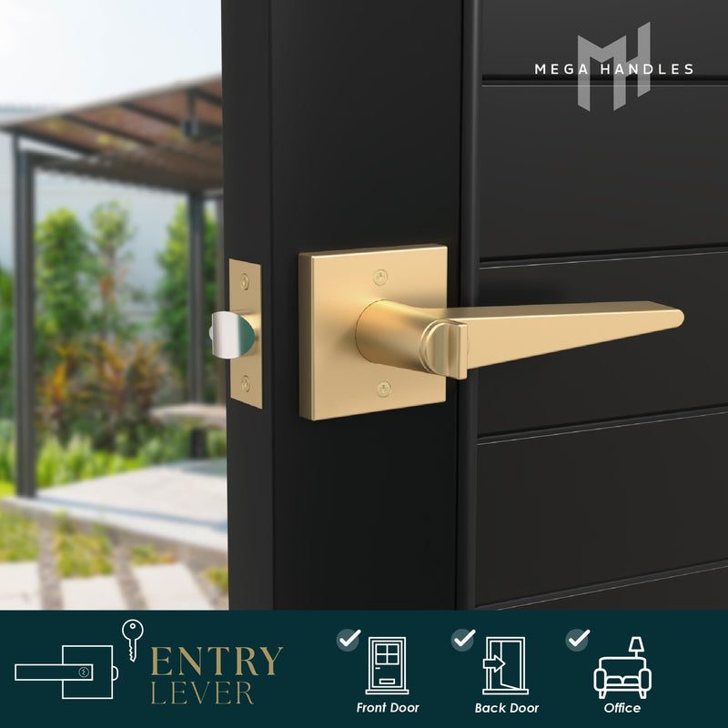 Mega Handles Schein Entry Door Handle - 1 Pack Reversible Gold Door Handle, Keyed Entry Heavy Duty Door Handles with Lock for Entrance & Bedroom, Fits All Standard Doors - Satin Brass