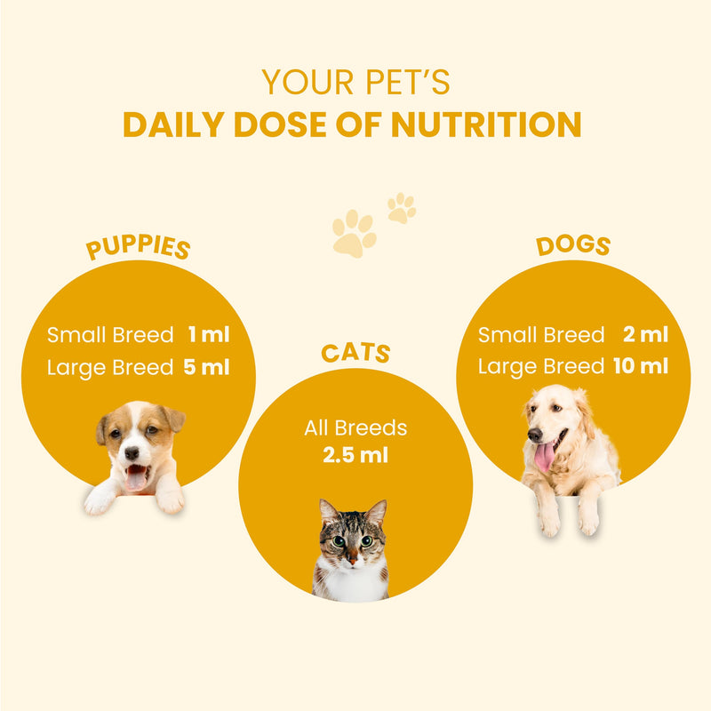 Fur Ball Story Supertonic Syrup - Boosts Your pet’s defenses | Supports Holistic Wellness | Vanilla-Flavoured Supplement for Dogs & Cats (6.76 fl Oz)