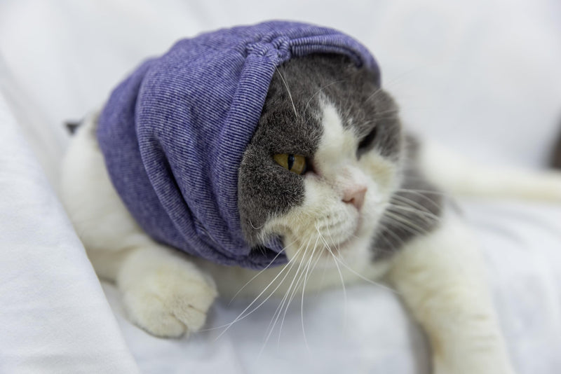 Cat Hematoma Ear Wrap,Noise Cancelling Calming Anxiety & Stress Relief - Ear Cover for cat Purple S Small