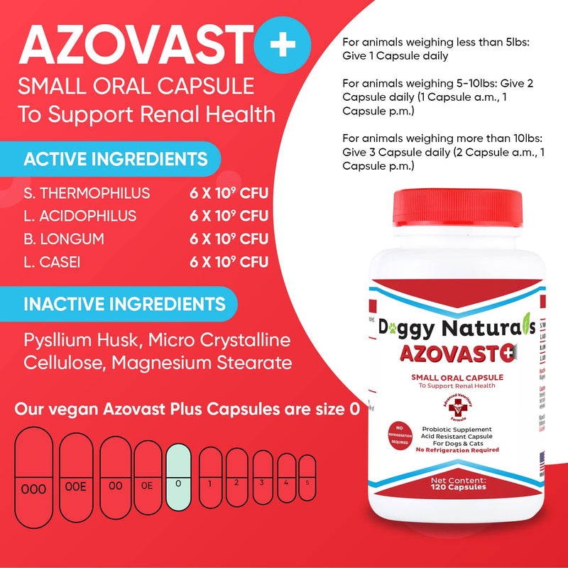 Azovast Plus Kidney Health Supplement for Dogs & Cats, 120ct - NO Refrigeration Required - Help Support Kidney Function & Manage Renal Toxins - Renal Care Supplement Capsule(U.S.A) 120 Caps (Pack of 1) - PawsPlanet Australia