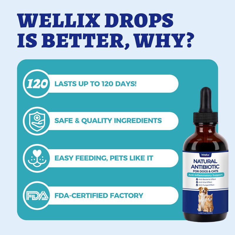 Wellix 120ml Natural Antibiotics for Cats&Dogs - Natural Herbal Supplement for Wound Care, UTI, Sneezing Treatment & Cold Relief - Cat Antibiotics Chicken Flavor for All Ages & Breeds