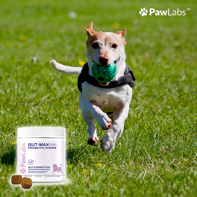 Gut-Max Probiotic Chews - Patented BC30™ Bacillus Coagulans - Natural, Vet Formulated Digestive & Immune Support - Relieves Diarrhea, Constipation, Bloating - Duck Flavor - 90 Soft Chews - PawsPlanet Australia