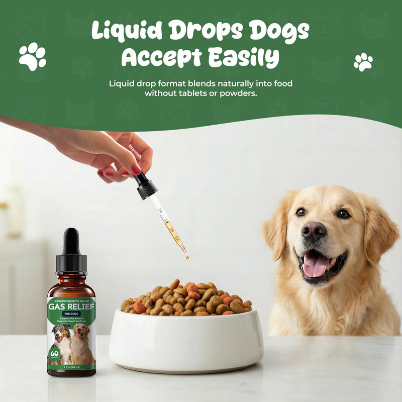 Gas Relief Supplement for Dogs Liquid, Supports Digestive Comfort & Gut Balance, Bacon Flavor, Daily Digestive Care Drops, 2 fl oz (60 mL)