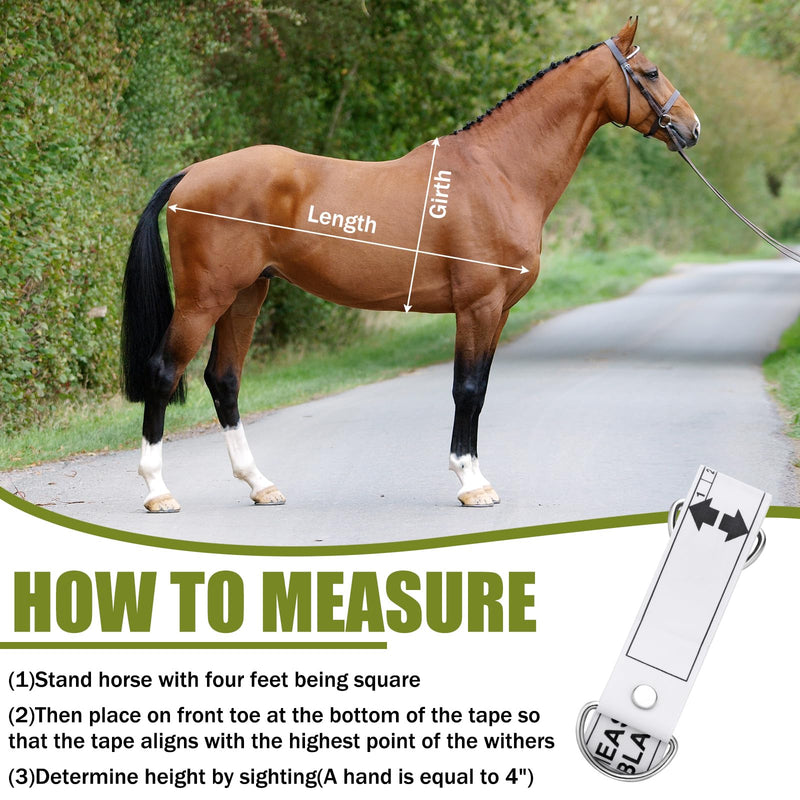 Copkim 12 Pcs Horse Measuring Tape 8.2 Feet Long for Height and Weight Multifunctional Horse Accessories for Accurate Waist Measurement and Weight Loss Tracking Portable PVC Measuring Stick