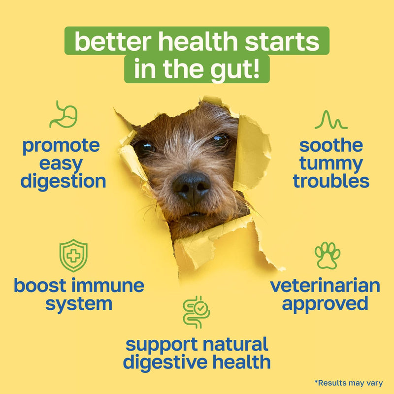 Happy Paws Digestive Support Supplement & Dog Probiotics, Supports Gut Health & Diarrhea with Enzyme Blend & Ginger Root, Pumpkin Flavor, Organic, Non GMO, 100 Soft Chews 100 Count