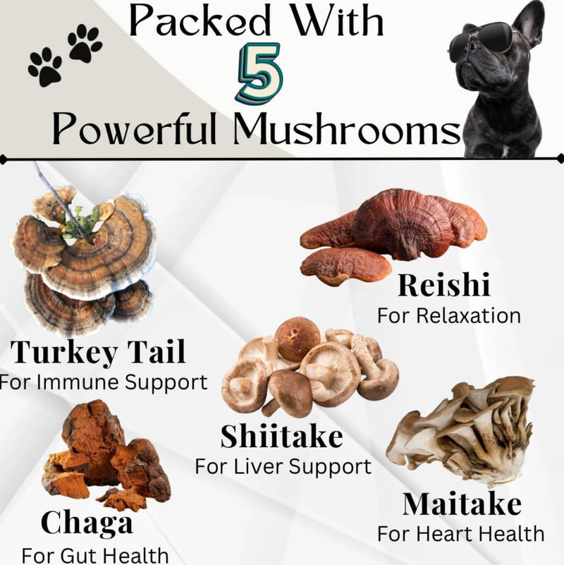 Advanced Liver Support & Turkey Tail Mushroom Chews for Dogs – Milk Thistle, Same, Turmeric & Organic Mushroom Blend – Immune, Liver, Kidney, Gut & Joint Health Support – 90 + 90 Chews
