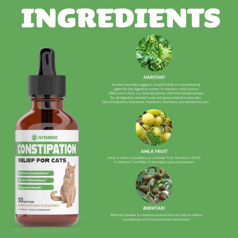 Cat Constipation Relief - Cat Laxative - Cat Laxative Constipation Relief - Constipation Relief for Cats -Constipation Relief for Cat - Cat Constipation - 1 fl oz - PawsPlanet Australia