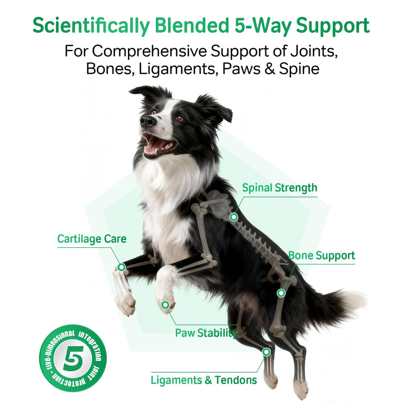Hip & Joint Supplement for Dogs & Cats - Bioactive Collagen,Glucosamine, Chondroitin & NZ Green Lipped Mussel - 120 Capsules for Joint, Bone, Ligament, Paw & Spinal Health