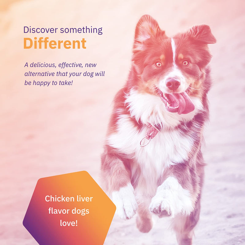 MOVOFLEX Joint Support Soft Chews for Small, Medium and Large Dogs 1 Pack (60 count) - PawsPlanet Australia